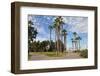 Palm Trees at Coronado Island in San Diego, California-sainaniritu-Framed Photographic Print