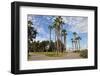 Palm Trees at Coronado Island in San Diego, California-sainaniritu-Framed Photographic Print