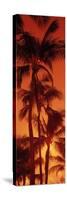 Palm Trees at Dusk, Kalapaki Beach, Kauai, Hawaii, USA-null-Stretched Canvas