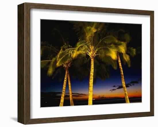 Palm Trees at Dusk, Waikiki Beach, HI-Walter Bibikow-Framed Premium Photographic Print