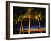 Palm Trees at Dusk, Waikiki Beach, HI-Walter Bibikow-Framed Premium Photographic Print