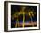 Palm Trees at Dusk, Waikiki Beach, HI-Walter Bibikow-Framed Premium Photographic Print