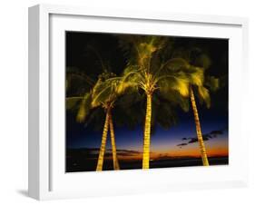 Palm Trees at Dusk, Waikiki Beach, HI-Walter Bibikow-Framed Premium Photographic Print