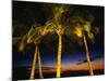 Palm Trees at Dusk, Waikiki Beach, HI-Walter Bibikow-Mounted Photographic Print