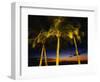 Palm Trees at Dusk, Waikiki Beach, HI-Walter Bibikow-Framed Photographic Print