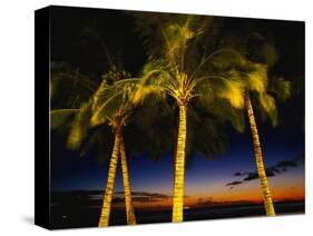 Palm Trees at Dusk, Waikiki Beach, HI-Walter Bibikow-Stretched Canvas