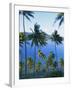 Palm Trees at Matangi Island, Qamea Island in Background, Fiji, South Pacific Islands-Lousie Murray-Framed Photographic Print