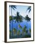 Palm Trees at Matangi Island, Qamea Island in Background, Fiji, South Pacific Islands-Lousie Murray-Framed Photographic Print