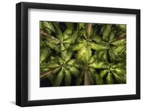 Palm Trees at Night, Singapore-Paul Souders-Framed Photographic Print