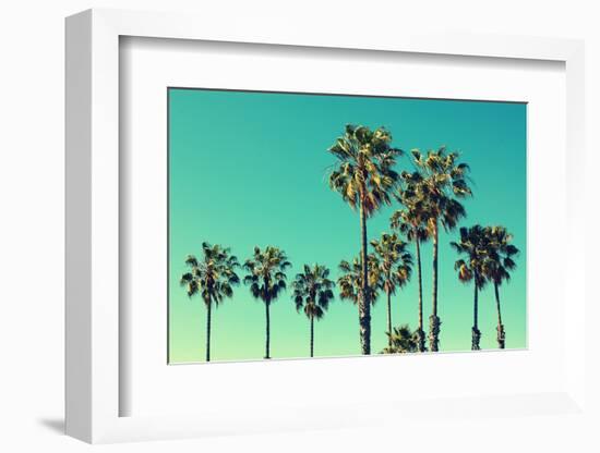 Palm Trees at Santa Monica Beach. Vintage Post Processed. Fashion, Travel, Summer, Vacation and Tro-mervas-Framed Photographic Print