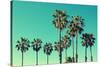 Palm Trees at Santa Monica Beach. Vintage Post Processed. Fashion, Travel, Summer, Vacation and Tro-mervas-Stretched Canvas