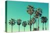 Palm Trees at Santa Monica Beach. Vintage Post Processed. Fashion, Travel, Summer, Vacation and Tro-mervas-Stretched Canvas
