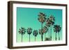 Palm Trees at Santa Monica Beach. Vintage Post Processed. Fashion, Travel, Summer, Vacation and Tro-mervas-Framed Photographic Print