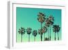 Palm Trees at Santa Monica Beach. Vintage Post Processed. Fashion, Travel, Summer, Vacation and Tro-mervas-Framed Photographic Print