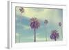 Palm Trees at Santa Monica Beach.-2mmedia-Framed Photographic Print