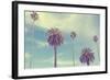 Palm Trees at Santa Monica Beach.-2mmedia-Framed Photographic Print