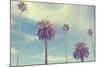 Palm Trees at Santa Monica Beach.-2mmedia-Mounted Photographic Print