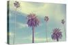 Palm Trees at Santa Monica Beach.-2mmedia-Stretched Canvas