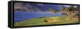 Palm Trees at Seaside, Kiele Course, Number 13, Kauai Lagoons Golf Club, Lihue, Hawaii, USA-null-Framed Stretched Canvas