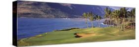 Palm Trees at Seaside, Kiele Course, Number 13, Kauai Lagoons Golf Club, Lihue, Hawaii, USA-null-Stretched Canvas