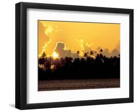 Palm Trees at Sunset, Bora Bora, French Polynesia-Art Wolfe-Framed Photographic Print