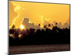 Palm Trees at Sunset, Bora Bora, French Polynesia-Art Wolfe-Mounted Photographic Print