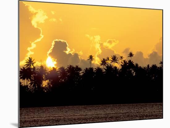 Palm Trees at Sunset, Bora Bora, French Polynesia-Art Wolfe-Mounted Photographic Print