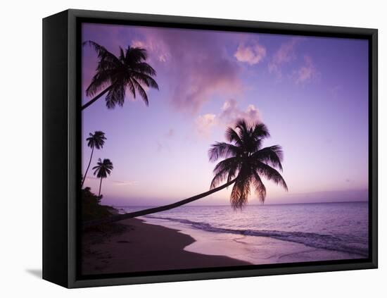 Palm Trees at Sunset, Coconut Grove Beach at Cade's Bay, Nevis, Caribbean-Greg Johnston-Framed Stretched Canvas