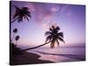Palm Trees at Sunset, Coconut Grove Beach at Cade's Bay, Nevis, Caribbean-Greg Johnston-Stretched Canvas