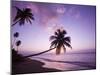 Palm Trees at Sunset, Coconut Grove Beach at Cade's Bay, Nevis, Caribbean-Greg Johnston-Mounted Photographic Print