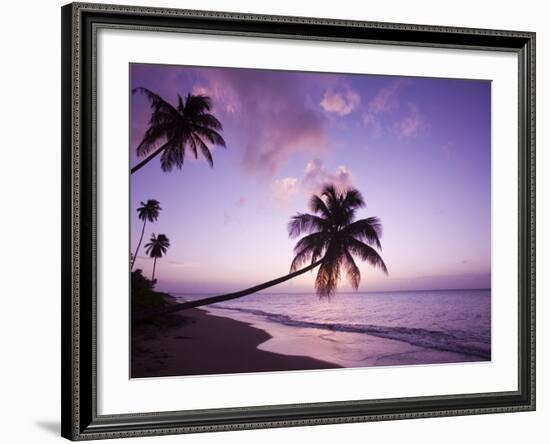 Palm Trees at Sunset, Coconut Grove Beach at Cade's Bay, Nevis, Caribbean-Greg Johnston-Framed Photographic Print