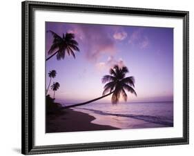 Palm Trees at Sunset, Coconut Grove Beach at Cade's Bay, Nevis, Caribbean-Greg Johnston-Framed Photographic Print