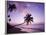 Palm Trees at Sunset, Coconut Grove Beach at Cade's Bay, Nevis, Caribbean-Greg Johnston-Framed Photographic Print