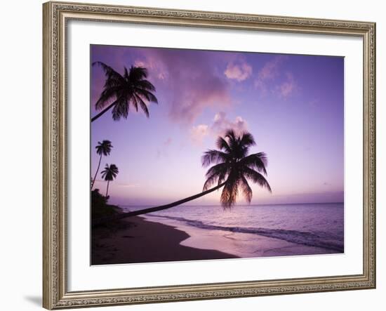 Palm Trees at Sunset, Coconut Grove Beach at Cade's Bay, Nevis, Caribbean-Greg Johnston-Framed Photographic Print