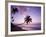 Palm Trees at Sunset, Coconut Grove Beach at Cade's Bay, Nevis, Caribbean-Greg Johnston-Framed Photographic Print