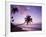 Palm Trees at Sunset, Coconut Grove Beach at Cade's Bay, Nevis, Caribbean-Greg Johnston-Framed Photographic Print