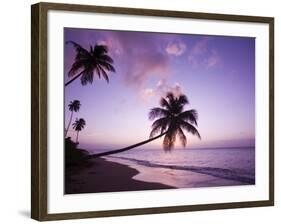 Palm Trees at Sunset, Coconut Grove Beach at Cade's Bay, Nevis, Caribbean-Greg Johnston-Framed Photographic Print