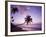 Palm Trees at Sunset, Coconut Grove Beach at Cade's Bay, Nevis, Caribbean-Greg Johnston-Framed Photographic Print