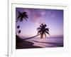 Palm Trees at Sunset, Coconut Grove Beach at Cade's Bay, Nevis, Caribbean-Greg Johnston-Framed Photographic Print