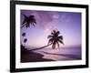 Palm Trees at Sunset, Coconut Grove Beach at Cade's Bay, Nevis, Caribbean-Greg Johnston-Framed Photographic Print