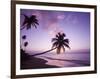 Palm Trees at Sunset, Coconut Grove Beach at Cade's Bay, Nevis, Caribbean-Greg Johnston-Framed Photographic Print