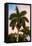 Palm Trees at Sunset - Florida-Philippe Hugonnard-Framed Stretched Canvas