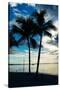Palm Trees at Sunset - Florida-Philippe Hugonnard-Stretched Canvas