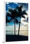 Palm Trees at Sunset - Florida-Philippe Hugonnard-Framed Photographic Print