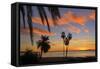 Palm Trees at Sunset in La Ventana, Baja California Sur, Mexico,-Christian Heeb-Framed Stretched Canvas