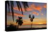 Palm Trees at Sunset in La Ventana, Baja California Sur, Mexico,-Christian Heeb-Stretched Canvas
