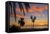 Palm Trees at Sunset in La Ventana, Baja California Sur, Mexico,-Christian Heeb-Framed Stretched Canvas