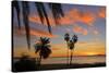 Palm Trees at Sunset in La Ventana, Baja California Sur, Mexico,-Christian Heeb-Stretched Canvas