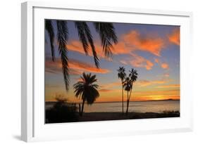Palm Trees at Sunset in La Ventana, Baja California Sur, Mexico,-Christian Heeb-Framed Photographic Print
