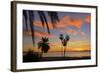 Palm Trees at Sunset in La Ventana, Baja California Sur, Mexico,-Christian Heeb-Framed Photographic Print